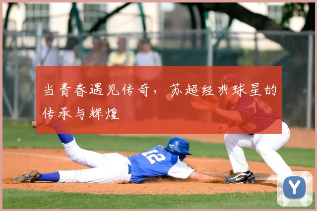 当青春遇见传奇,苏超经典球星的传承与辉煌